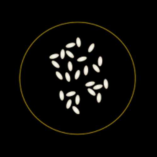 BASE RIZ BLANC